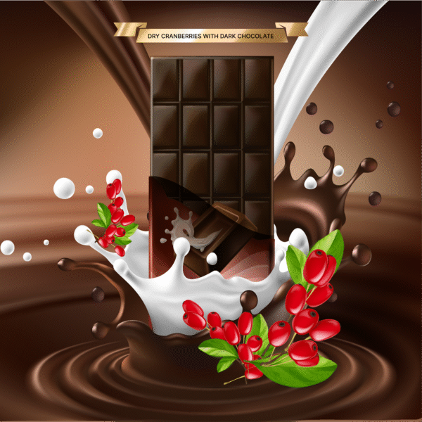 DRY CRANBERRIES WITH DARK CHOCOLATE - Image 1